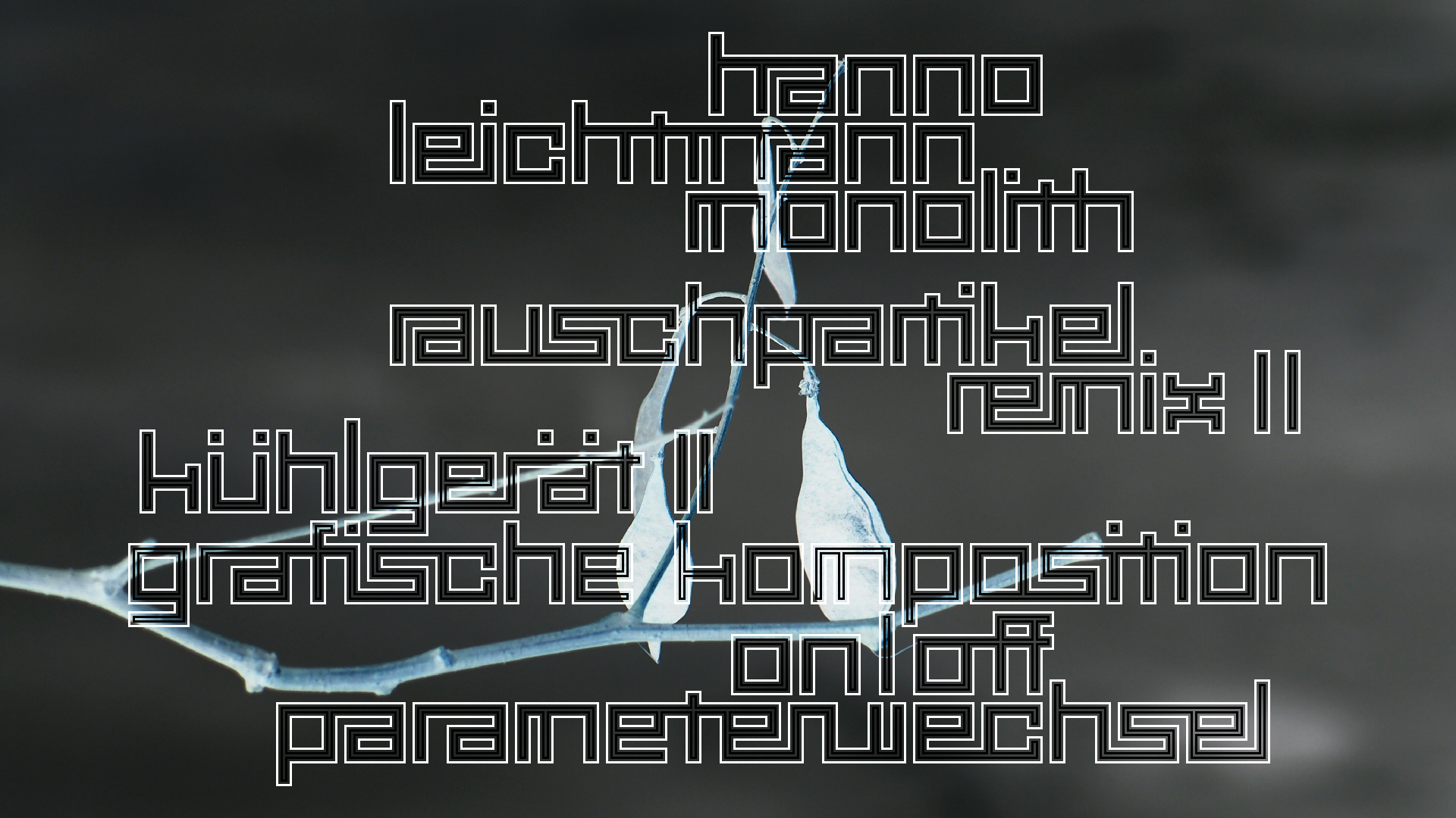 2021-03-10 Hanno Leichtmann - 1996 Monolith (rauschpartikel Remix 1 - 3)